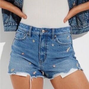 American Eagle Outfitters Blue Embroidered Daisy Denim Cutoff Shorts